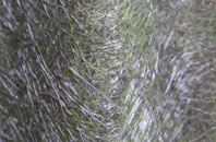 Creswell Green fibreglass roof work